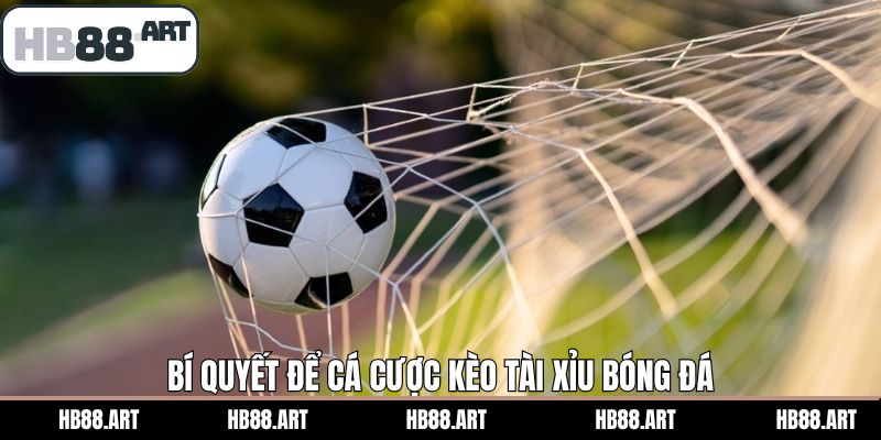 Bỏ túi bí quyết để thắng lớn cược O/U bóng đá