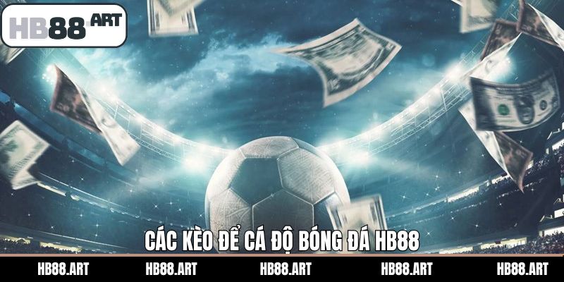 Cá độ bóng đá HB88 với đa dạng lựa chọn kèo cược