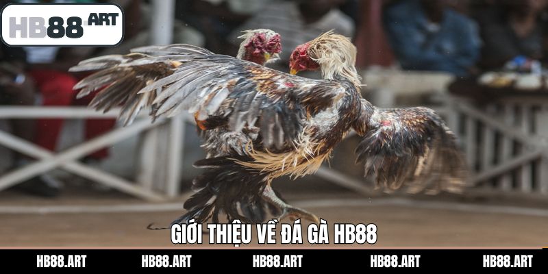 Thông tin tổng quan về sân chơi đá gà của HB88