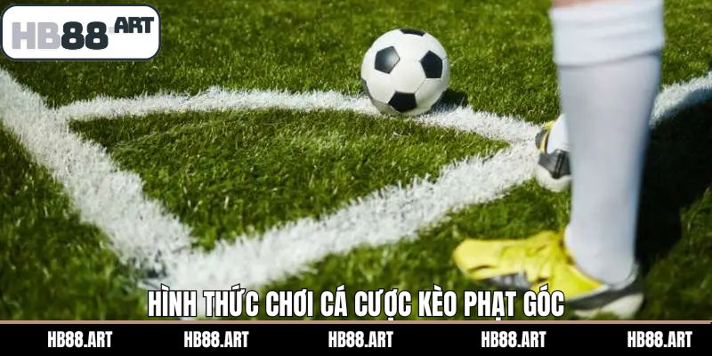 Điểm danh các loại kèo phạt góc ưa chuộng nhất HB88