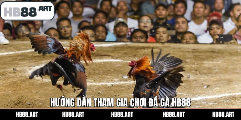 Các bước để tham gia cá cược tại đá gà HB88