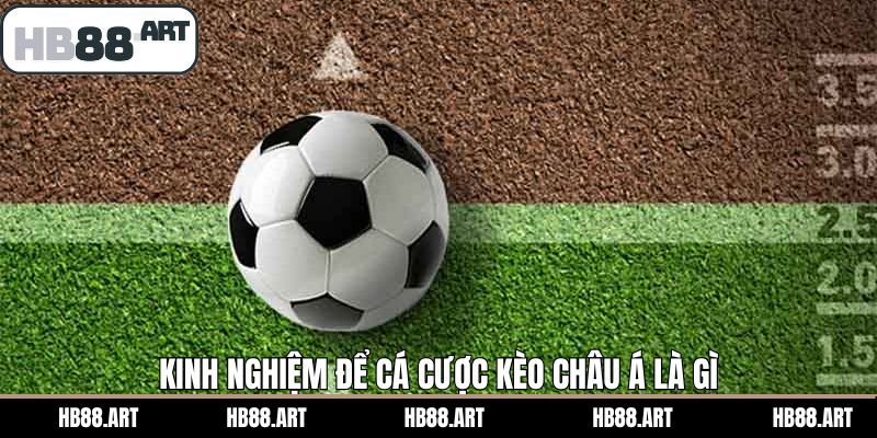 Cách soi kèo châu Á chuẩn cao thủ