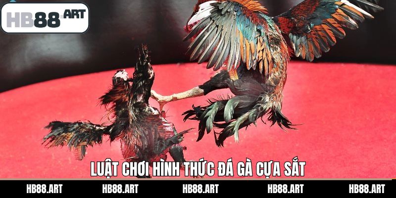 Phổ biến luật đá gà cựa sắt tại HB88