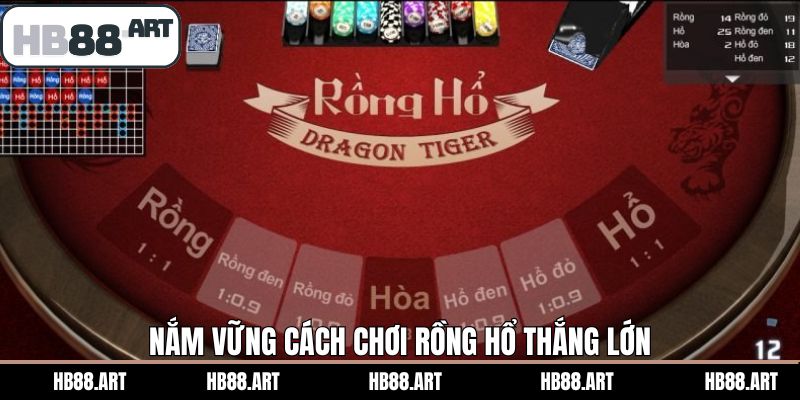 Kinh nghiệm giành thắng lớn khi chơi game Dragon Tiger