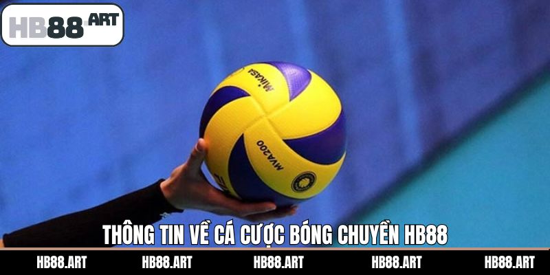 Đôi nét về trò chơi bóng chuyền HB88